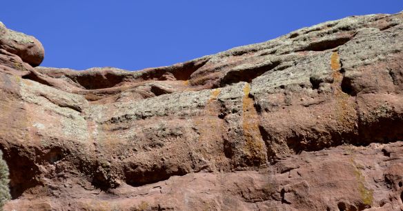 Bright orange Xanthoria (probably X. elegans) grows in channels where nutrients are washed down from animal perches. Fountain Sandstone, S.L. White. 