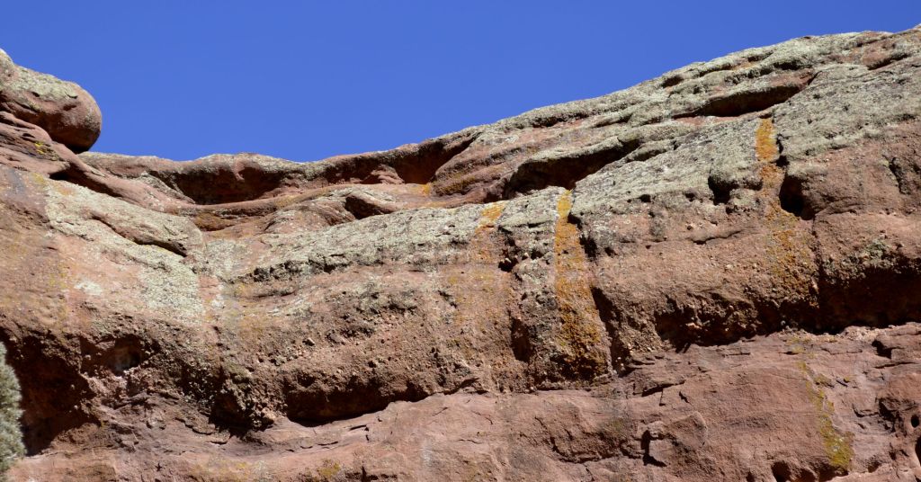 Bright orange Xanthoria (probably X. elegans) grows in channels where nutrients are washed down from animal perches. Fountain Sandstone, S.L. White. 